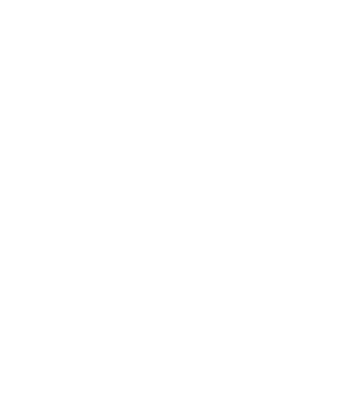 Brand Logo 2