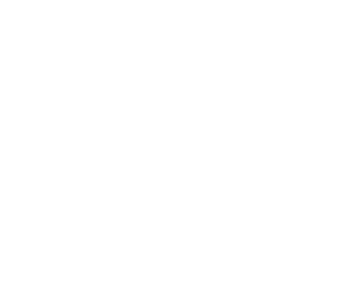 Brand Logo 1